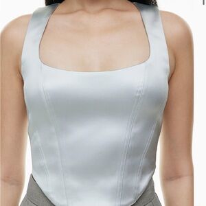 Aritzia Shiloh Bustier in Dusk Blue 🦋